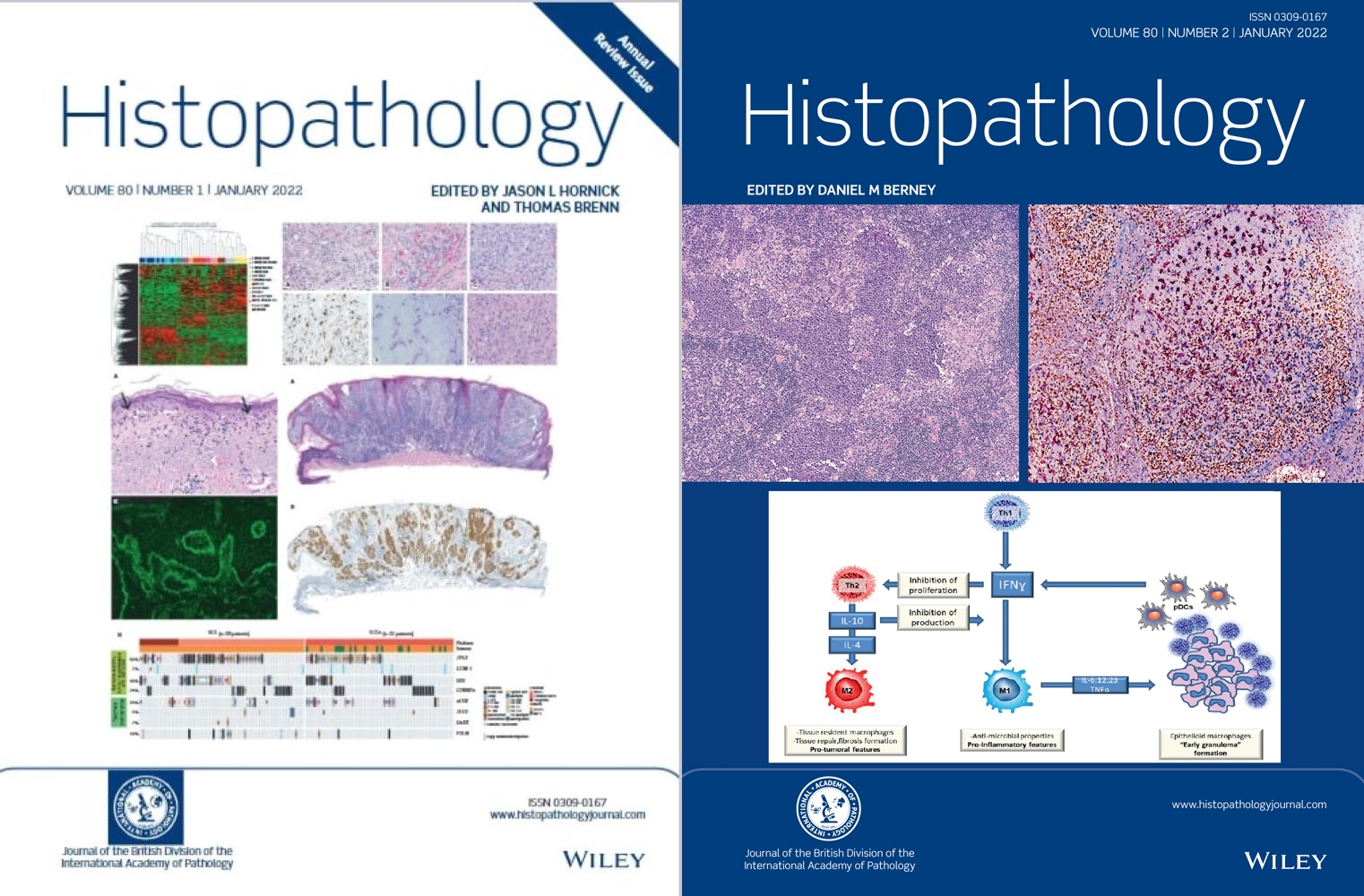 Histopathology Annual Review and January Issues Now Available image